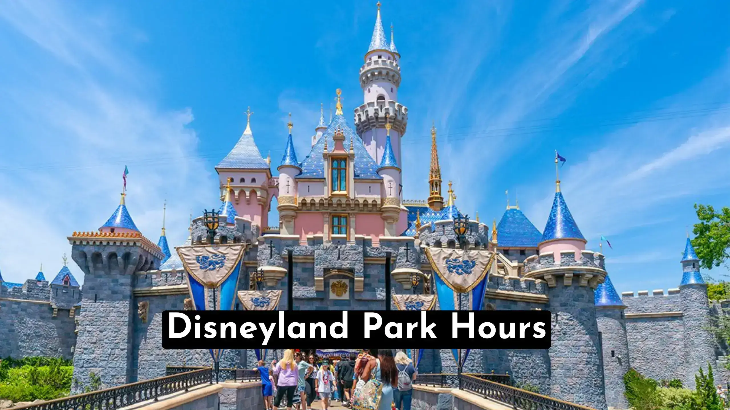 A Quick Guide To Disneyland Park Hours & Timings 🎢 - Also check our Disneyland near me location | What Time Does Disneyland Open & Close? | Holiday - store-hour.com